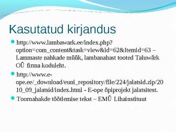 Nahkade töötlemine ettekanne #16