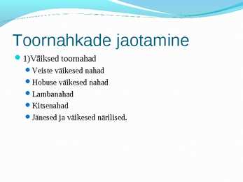 Nahkade töötlemine ettekanne #3