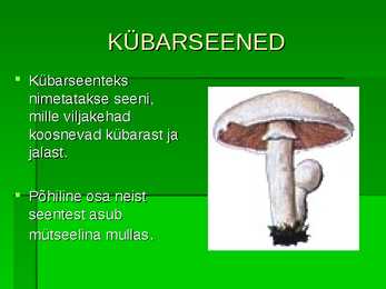 SEENED #12