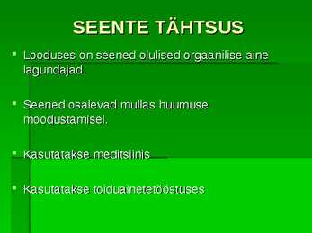 SEENED #19