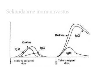 Immuunvastus erinevatele antigeenidele #11