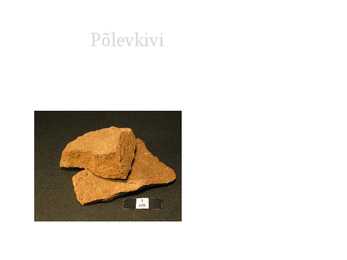 Põlevkivi #2