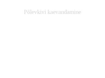 Põlevkivi #5