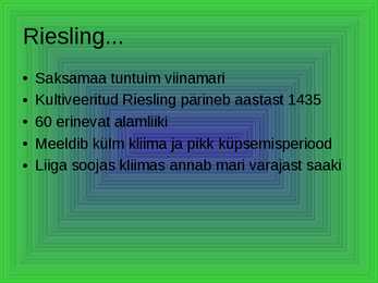 Riesling ja Rheingau #4