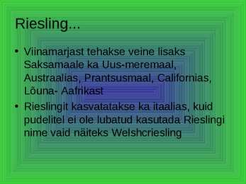 Riesling ja Rheingau #6