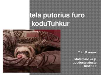 Kodutuhkur-powerpoint