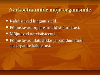 Uimastid #7