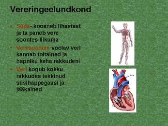 Elundid ja elundkonnad #5