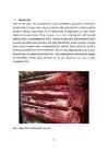 Looduslikud v�rvid ehituses #12
