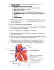 Bioloogia kordamine 9-klassile-2 #4