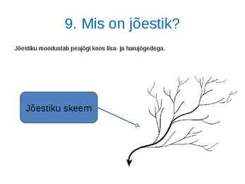 Jõgi #11