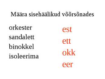 Sisehäälikud #13