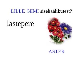 Sisehäälikud #16