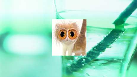 Carbonated beverages presentation #13