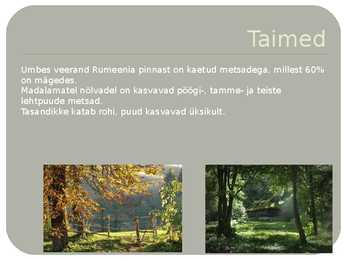 Rumeenia #8