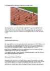 Naiste 800 m-1500 m jooks #13