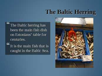 Estonian National Cuisine #10