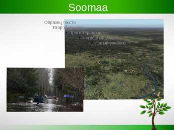 Kõrvemaa #11