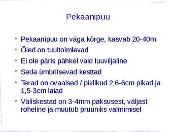 Pekaanipähkel #4