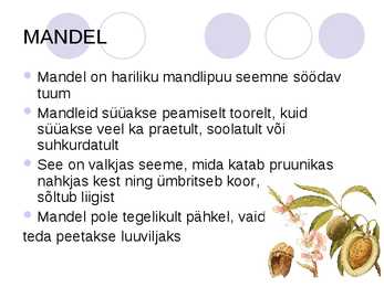 Mandel #2