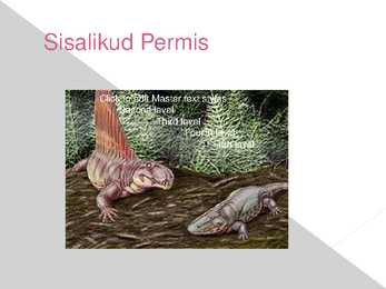 Paleosoikum ehk vanaaegkond #6