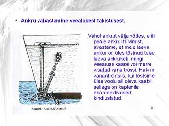 Ankruseade #21