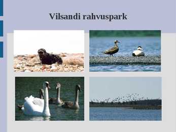 Vilsandi rahvuspark esiltus #3