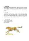 Gepard #3