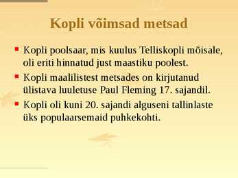 Põhja-Tallinn #7