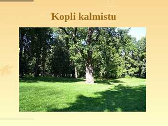 Põhja-Tallinn #9