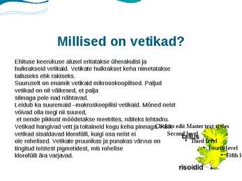 Hulkraksed vetikad #2