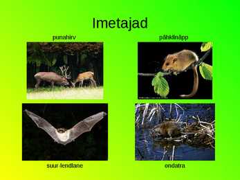 Eesti loomastik #21