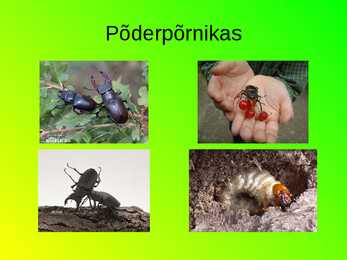 Eesti loomastik #4