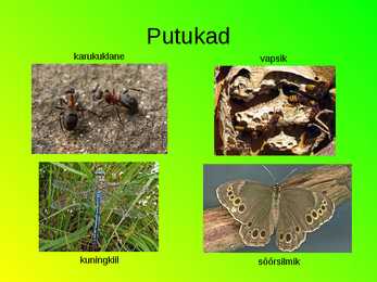 Eesti loomastik #5