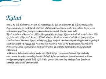 Eesti Loomastiku esitlus #8
