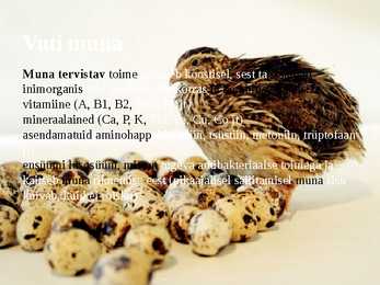 Linnukasvatus #48