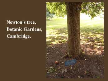 Sir Isaac Newton #17