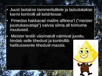 Roqueforti juust #11