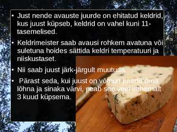 Roqueforti juust #13