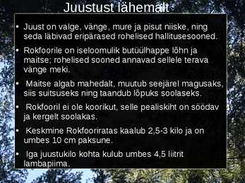 Roqueforti juust #3