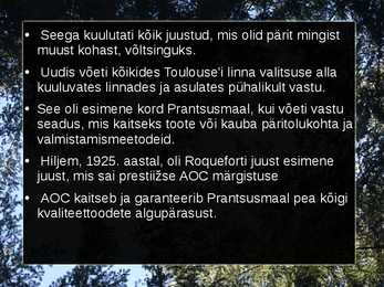 Roqueforti juust #6