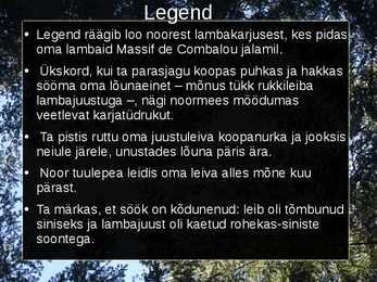 Roqueforti juust #7