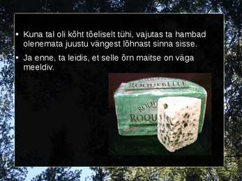 Roqueforti juust #8