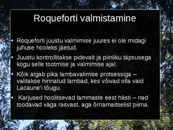 Roqueforti juust #9