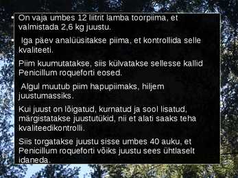 Roqueforti juust #10