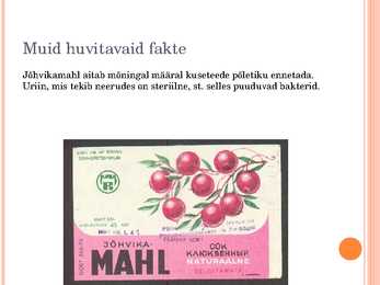Esitlus erituselundkonnast #11