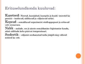Esitlus erituselundkonnast #3
