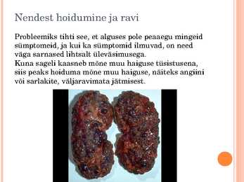 Esitlus erituselundkonnast #8