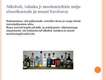 Esitlus erituselundkonnast #10