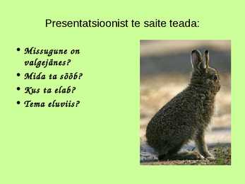 Eesti metsades elavad loomad-- Valgejänes #2
